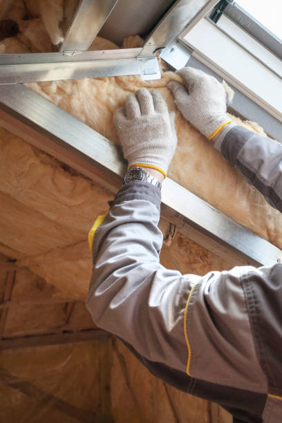 Best Cellulose Insulation  in USA